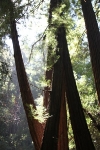 copy-img_6780