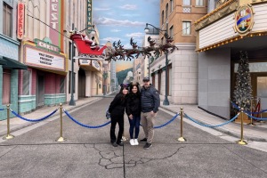 Disneyland ~ December 2024