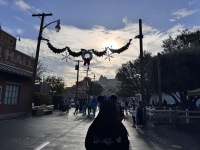 IMG_7901