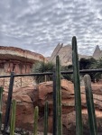 IMG_7918