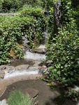 IMG_3642