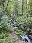 IMG_9920