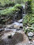 IMG_9925