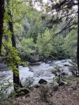 IMG_9991