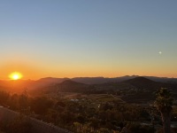IMG_0352