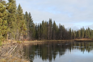 Gexy (Bend, Oregon) ~ November 2012
