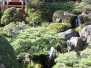 Golden Gate Park ~ February 2011