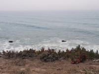 IMG_5760