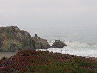 IMG_5768
