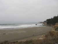 IMG_5769
