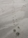 IMG_5777