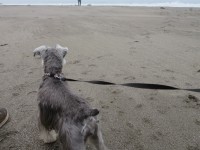 IMG_5779