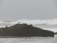 IMG_5785
