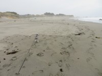 IMG_5787