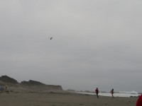 IMG_5794