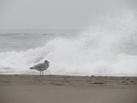 IMG_5811