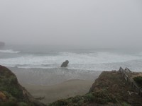 IMG_5830