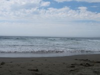 IMG_5901