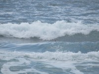 IMG_5903