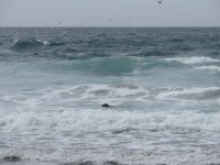 IMG_5918