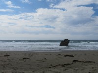 IMG_5920