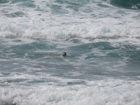 IMG_5922