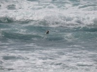 IMG_5923