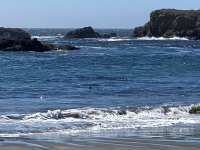 IMG_7552