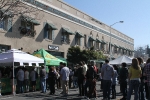 copy-img_0643