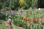 IMG_3864 copy