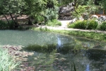 IMG_3904 copy