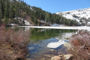 Huber Cabin ~ May 2019