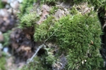 img_2775-copy