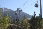 img_3445-copy