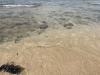 IMG_4030
