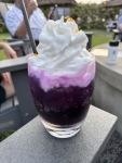 IMG_0235