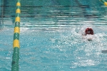 copy-img_1309