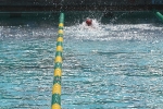 copy-img_1314