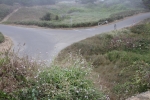 IMG_4346 copy