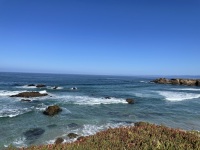 IMG_5440