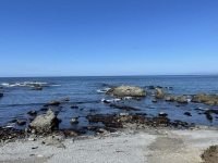 IMG_5459