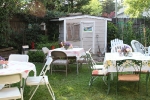 copy-img_6452