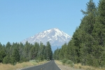 copy-burney-329