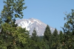 copy-burney-348
