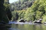 copy-burney-421