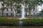 copy-img_7352