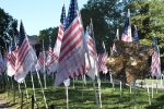 copy-img_7355