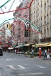 copy-img_7542