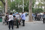 copy-img_7570
