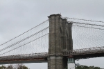 copy-img_7593